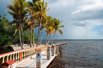 Pier with Palm Trees
