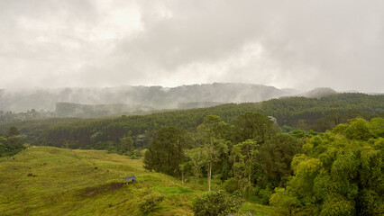fog in the mountains