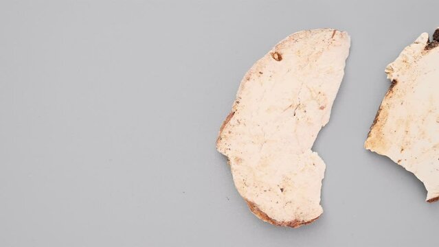 top pan herb ChongLou or Paridis Rhizoma or Chinese Manyleaf Paris Rhizome