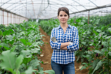 Confident successful woman horticulturist standing with arms crossed near bushes of ripening eggplants in hothouse