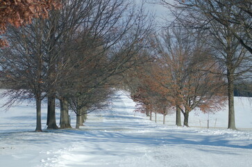 winter path