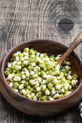 Sprouted mung beans in wooden bowl on rustic table