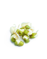 Sprouted mung beans isolated on white background