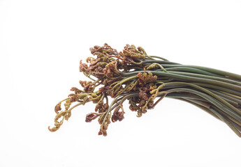 わらび　アク抜き