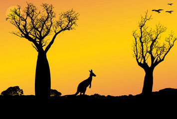 Fototapeta na wymiar silhouette landscape of boab trees and kangaroo