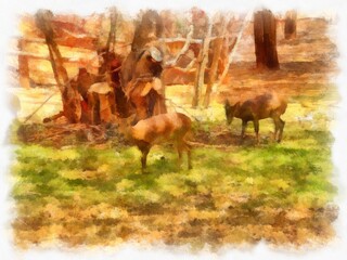 Naklejka na ściany i meble herd of deer in the shade watercolor style illustration impressionist painting.