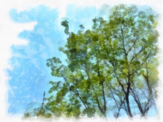 tree view sky background watercolor style illustration impressionist painting.