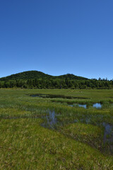 lots of lakes in wetland at high altitude