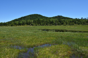 lots of lakes in wetland at high altitude