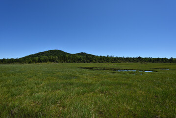 lots of lakes in wetland at high altitude