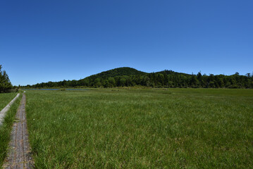 Obraz premium lots of lakes in wetland at high altitude