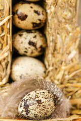 Obraz premium Quail eggs close-up in pressed straw.Organic farm natural quail eggs set.natural protein.Useful food and products