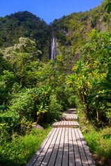 Boardwalk heading towards the Waimoku Falls at the end of the Pipiwai Trail in the Haleakala...