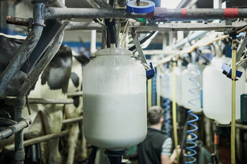 Freshly processed milk. Cropped shot of milk bottles being filled in a dairy.