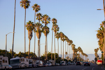 The Palms of LA