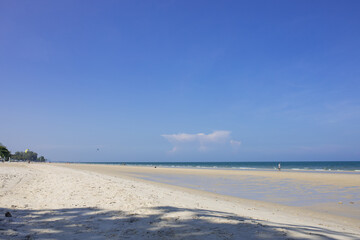 sand dunes on the beach