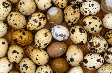 Obraz premium Background from quail eggs. Easter background. Easter quail eggs.