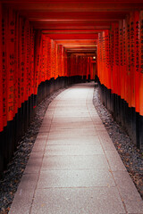 Fototapeta premium architecture, asia, corridor, culture, famous, history, japan, japanese, kyoto, landmark, orange, path, red, religion, shrine, temple, tourism, traditional, travel, trip