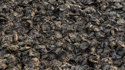Small sea stones, gravel. Background. Textures
