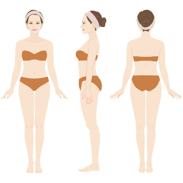 ［Full-body illustration of a woman］This woman's body has the center of gravity above. The waist and bust are high. The joints and below the knees are thin. She is wearing underwear.Front, Side, Rear