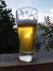 sol no copo de cerveja