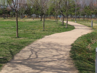 path in the park