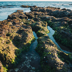 rocky coast of the sea