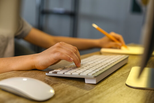 Cute little programmer using modern computer at home