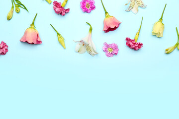 Beautiful flowers on blue background