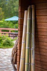 建てかけられた竹　bamboo