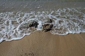 Closeup of an ocean wave on sand and coral on Waikiki Beach for use as a cover photograph.