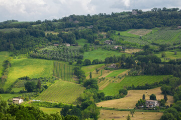 Beautiful, lush, green view of countryside in Orvieto, a medieval hill town in the Tuscany region...