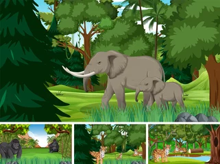 Forest scenes with wild animals in the forest © blueringmedia
