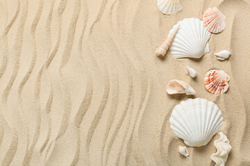 Fototapeta na wymiar Many different sea shells on sea coast