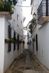 narrow andalusian white streets with flowers pots