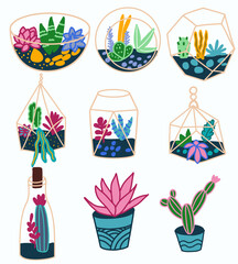 Succulents in glass and ceramic flower pots.