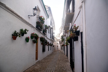 narrow andalusian white streets with flowers pots