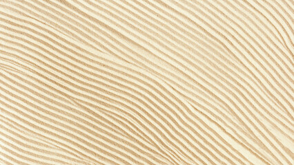 Aesthetic geometric pattern on sand, beautiful sandy waves texture, Spa background, concept of...