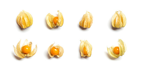 Collection of physalis berries or golden berry isolated on white background. Physalis fruit food