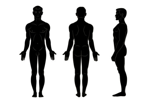 Vector sketch illustration of Silhouette male body. Front, back and side view.