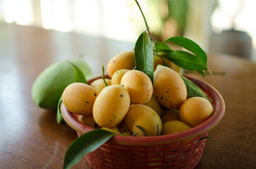 Marian Plum in a basket - Thailand agriculture, Asian tropical fruits display on the table with blur background and selective focus. Copy space.