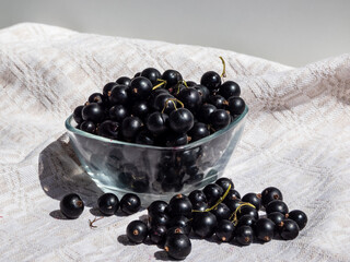 Close-up shot of perfect ripe blackcurrants (ribes nigrum) on the white tablecloth and in the glass bowl in bright sunlight. Healthy snack