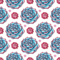 Watercolor illustration of a pattern of turquoise and pink succulents. It's perfect for postcards, posters, banners, invitations, greeting cards, prints. Isolated on white background. Drawn by hand.