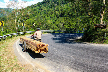 A Man Transports Wood From the Forest