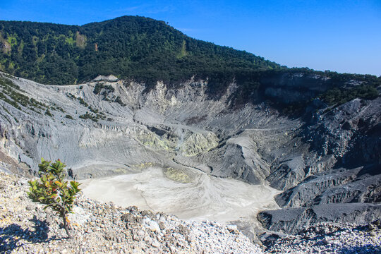 View of Kawah Putih (white crater) in West Java. This place has become one of the favorite tourist destinations in West Java.