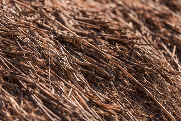 old thatched roof close-up as a background