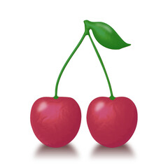 3d two cherries with shadow on a white background, realistic illustration, vector.