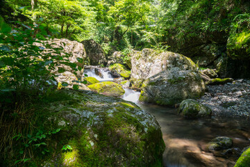 Naklejka na ściany i meble 渓流　mountain stream