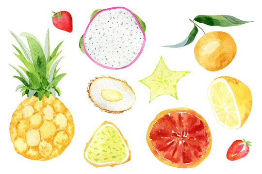 Beautiful watercolor tropical fruits set. Bright exotic fruits. Vegans food.
