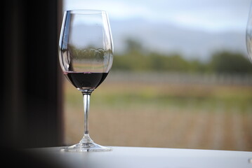 Copa de vino, cata de vinos